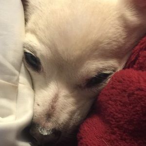 Meet your Posher, Vickie